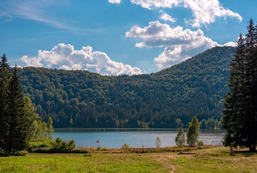 A mesmerizing view of a lake surrounded by dense forest against a cloudy sky