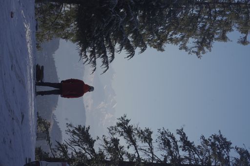 A vertical shot of a man in a snowy road