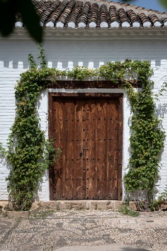 A vertical shot of an old wooden door with a decorative vine