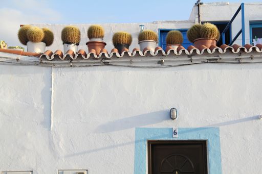 A white house roof with lots of cactus plants in pots