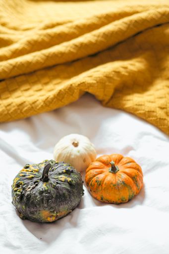 A vertical shot of small pumpkins near the orange blanket on the white sheet