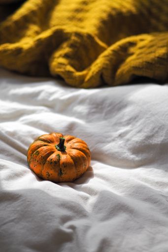 A vertical shot of a small pumpkin near the orange blanket on the white sheet