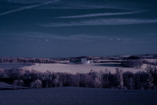 A scenic view of a field covered with bare trees and a building in the middle on a sunny day
