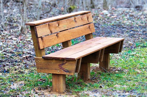 A closeup of a wooden bench in a forest
