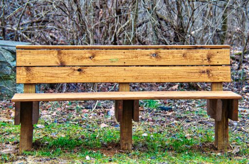 A closeup of a wooden bench in a forest