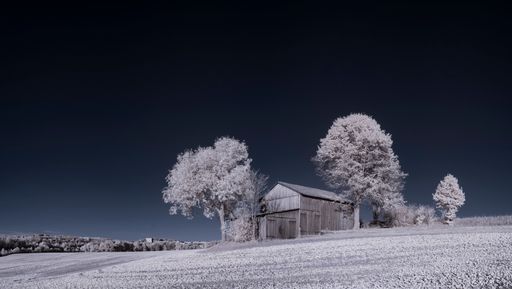 A mesmerizing view of the rural wooden house with nearby trees covered with snow in winter