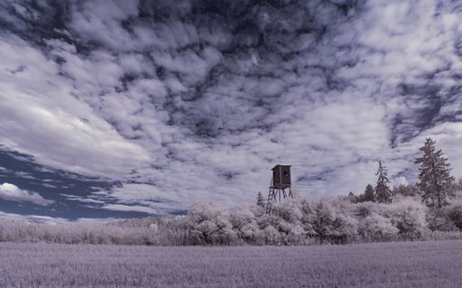 A infrared blue white shot of a field with trees and a wooden lookout under a cloudy sky