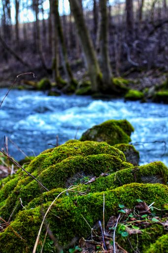 A vertical shot of a river with stones covered with moss on the foreground
