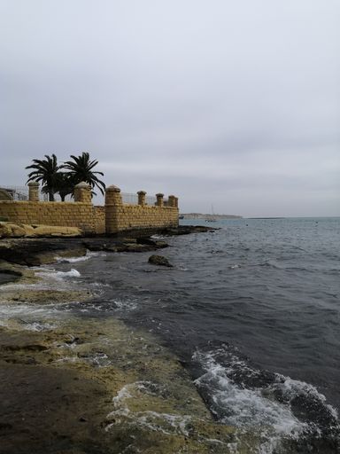A vertical shot of rocky seashore under a cloudy sky
