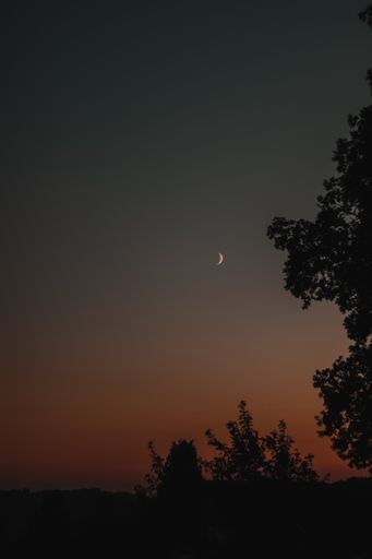 A dark vertical wallpaper of the Moon Crescent in the dark sunset sky with silhouettes of trees