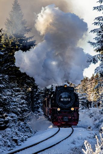 A vertical shot of a steam train passing through a snowy forest