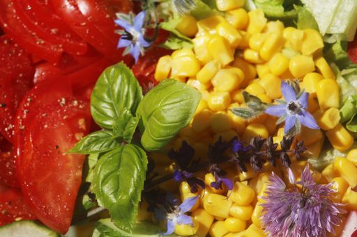 A closeup shot of tasty looking colorful salad ingredients