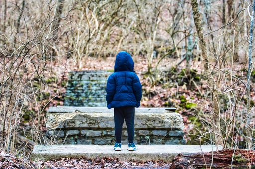 A shallow focus shot of a baby boy standing in the park captured from the back