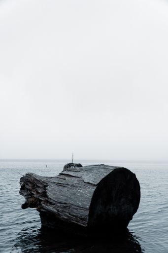 A vertical shot of a wooden log in the ocean on a foggy day with a blurry background
