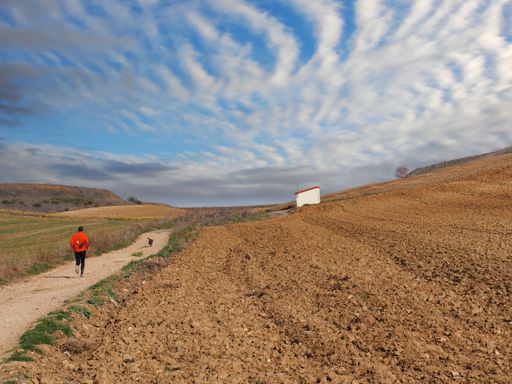 A beautiful view of a male runner in the large lands with grass against a sunny cloudy sky on the horizon