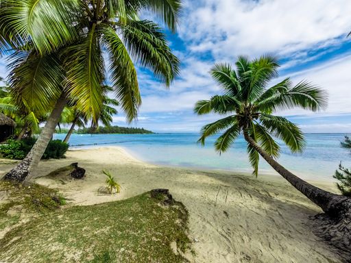 Beach with coconut trees, turquoise water and a little island in the background
