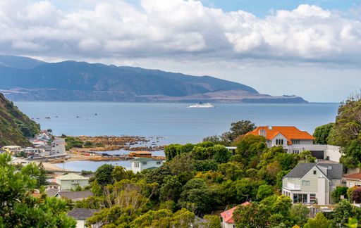 Wellington's Island Bay suburb showing houses, the bay and cook strait on a fine summer day, the hilly ground is obvious