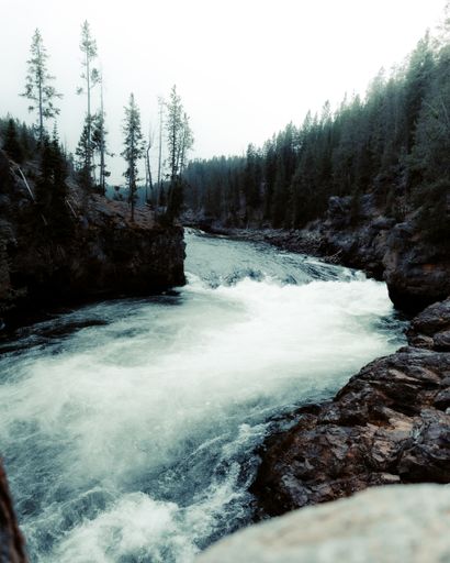 A vertical shot of the river flowing through the forest on a cloudy day