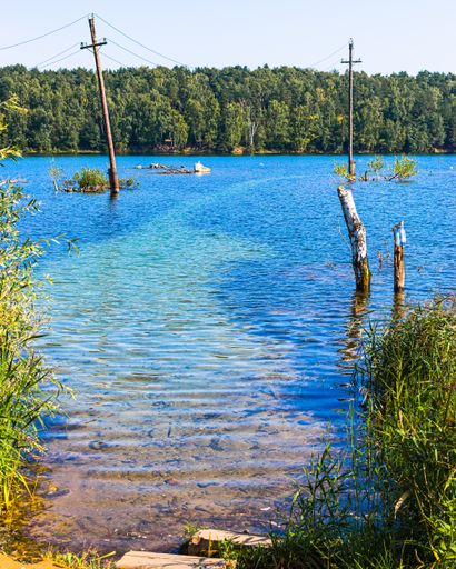 A vertical shot of a beautiful lake in a forest during summer, Moscow, Russia