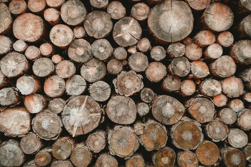 A top view of cut trees