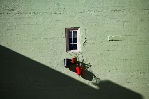 A closeup shot of flowerpots hung from the window on the green wall