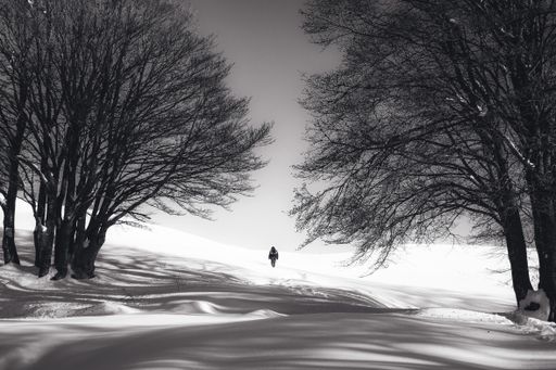 A grayscale shot of a person standing on snowy ground surrounded by bare trees