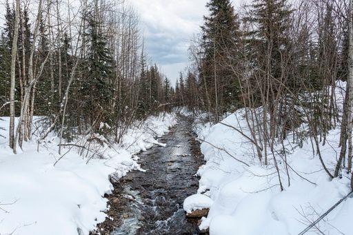 A flowing stream through a snowy park in the Chena Hot Springs in Alaska