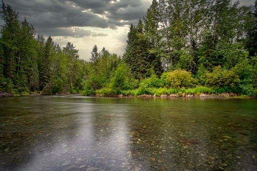 A beautiful shot of the Quartz Creek near a green forest in Alaska