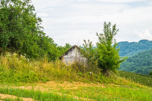 A closeup of an old Abandoned log cabin on a mountain in the woods in Serbia