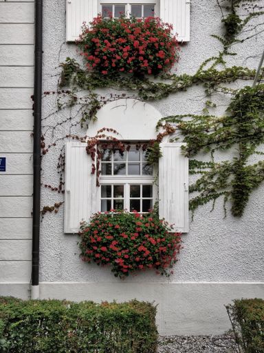 A vertical closeup shot of the building with opened white wooden shutters and beautiful flowers
