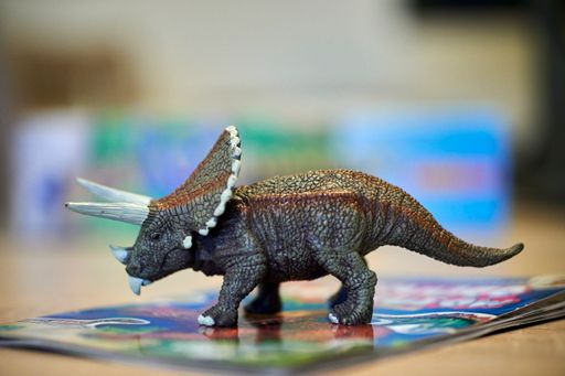 A plastic toy triceratops dinosaur figurine standing on a book on a table