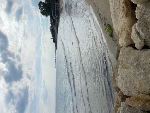 A vertical shot of the beautiful beach with rocks, trees and cloudy sky. Summer vacation travel holiday background concept.