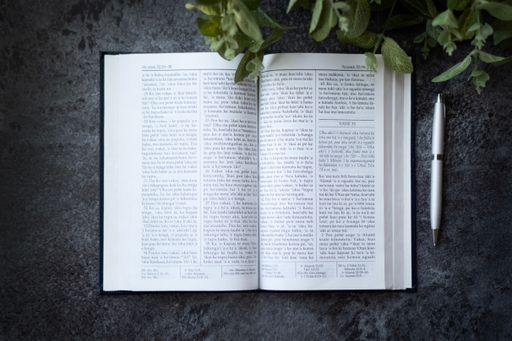 A closeup of the Book of Mormon. The religious text of the Latter Day Saint movement.