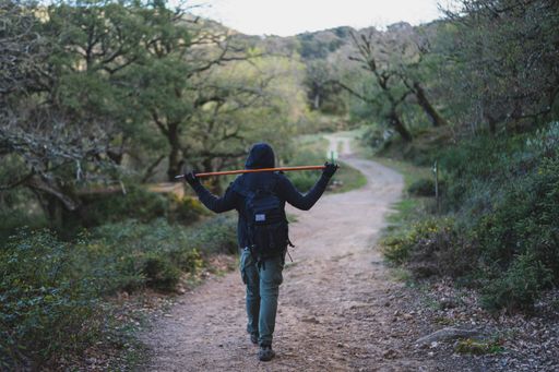A back view of a male with a walking stick during the hike in the lush green forest
