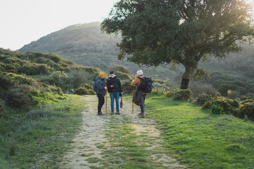 A group of friends walking along the green route during the hike in the peak of La sierra, Andaluza