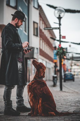 A vertical shot of a Swedish man with a cocker spaniel standing on the street.
