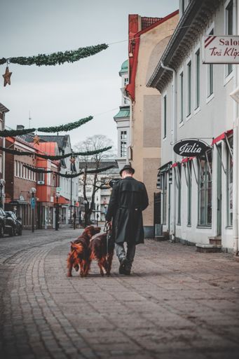 A man walking with his two dogs in a small rural town of Nybro, Sweden. Christmas decorations overhead.
