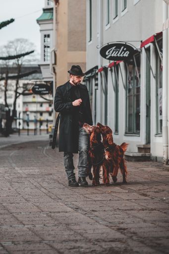 A man walking with his two dogs in a small rural town of Nybro, Sweden. Christmas decorations overhead.