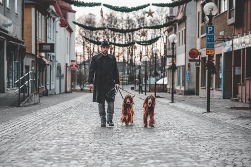 A man walking with his two dogs in a small rural town of Nybro, Sweden. Christmas decorations overhead.