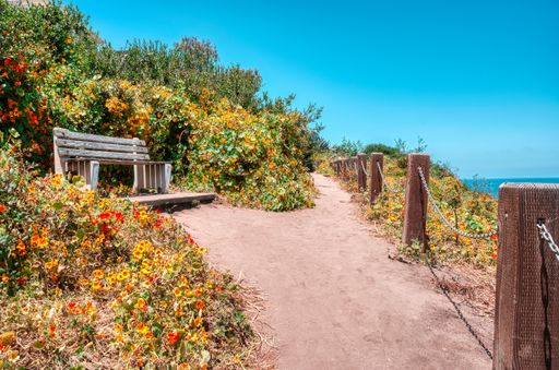 A low angle shot of a wooden bench surrounded with blooming flowers under a clear blue sky