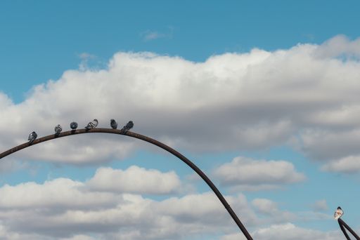A shot of pigeons perching on an arched metal bar against blue cloudy sky