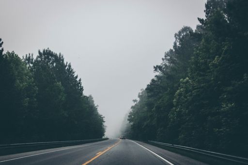A beautiful shot of a road in the middle of trees with cars in the distance under a cloudy sky