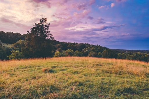 A beautiful shot of a dry grassy field with trees in the distance under a blue sky