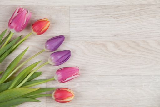 A top view of beautiful colorful tulips on the table