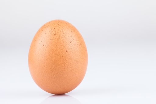 A closeup shot of a chicken egg isolated on a white background