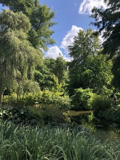 A vertical shot of a beautiful pond with lots of greenery around under cloudy blue sky