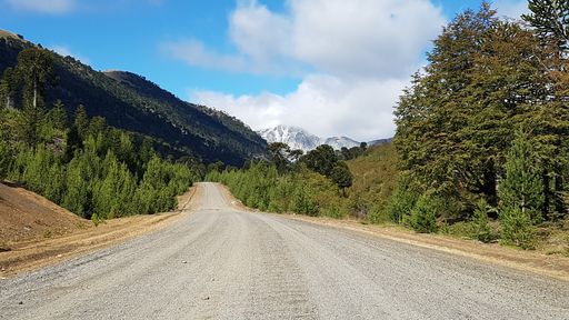 A road surrounded by trees under the sky full of clouds