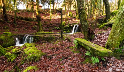 A beautiful view of the Monte Aloia Natural Park, Galicia, Spain