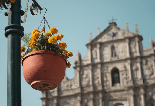 A pot of yellow flowers hanging from a black lamp post with the ruins of Saint Paul in the background in Macau, China