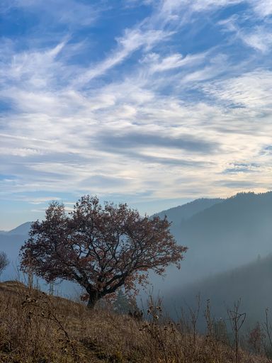 A beautiful shot taken in the city of Piatra Neamt, Romania